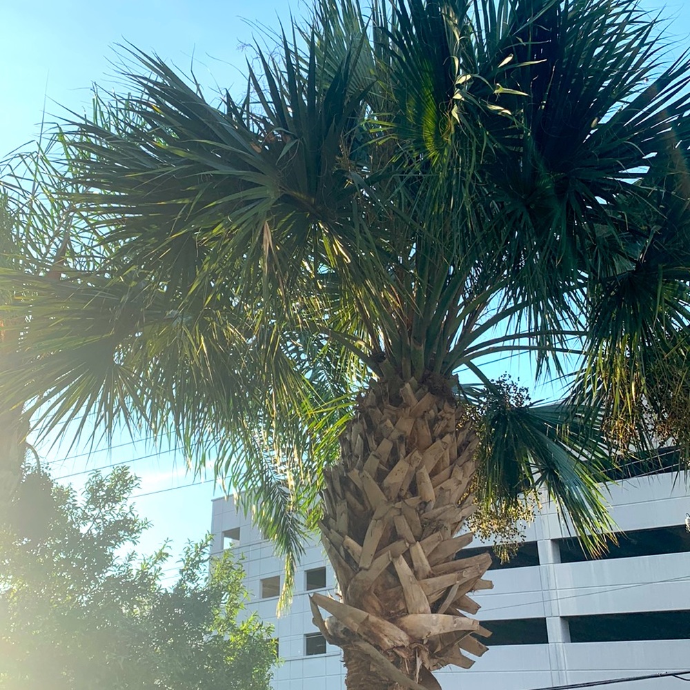 Meet your Posher, Tim